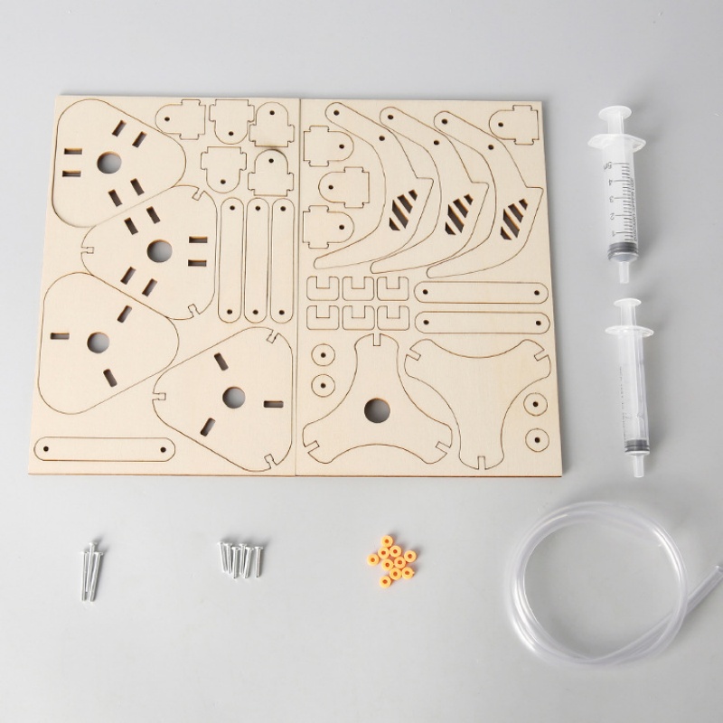 DIY Stem Piston Hydraulic Mech - Science Max 评论和价格